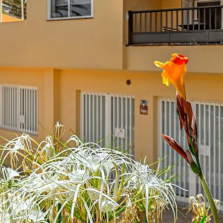 Tenerifeopenhome Colina Dorada 1 Apartamento