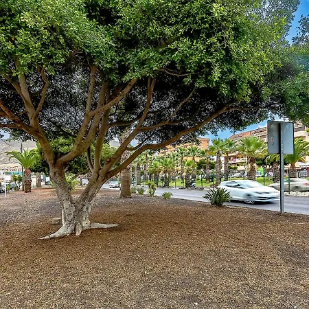 Tenerifeopenhome Colina Dorada 1 Apartamento